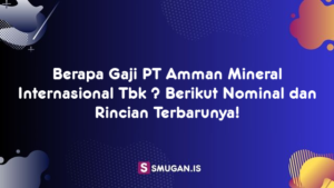 Berapa Gaji PT Amman Mineral Internasional Tbk ? Berikut Nominal dan Rincian Terbarunya!