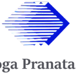 Logo PT Adyaboga Pranata Industries